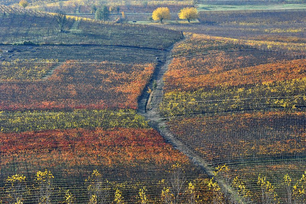 Barbera d’Asti a Golosaria Milano