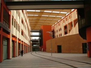 Sei intossicati da funghi al Pronto Soccorso del Massaia