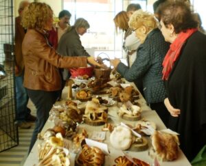 Astigiani alla prova del fungo: commestibile o tossico? E in molti sbagliano – gallery