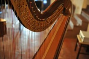 Nuova produzione per l’orchestra “Asti Filarmonica” – gallery