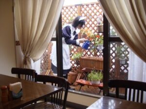 Ultimo giorno, oggi, per pagare i contributi al personale domestico – gallery