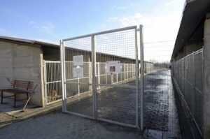 Bau House seconda edizione al Canile di Asti