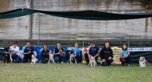 Ottimo successo per la gara di agility dog di Portacomaro – gallery