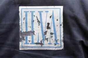 Ilva, riflettori anche sul Piemonte