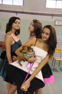 tauserwwwgazzettadastiwp-contentuploadssites220121213a63349418b53a779302070f2659d6b.jpg