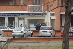 tauserwwwgazzettadastiwp-contentuploadssites220121244c28e5583db1b0ccf4d1f8e890b9834.jpg