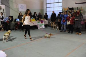 tauserwwwgazzettadastiwp-contentuploadssites2201212649729bbfe0622f3cccb03859c6e75b9.jpg