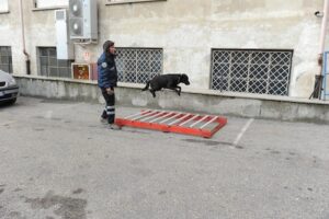 tauserwwwgazzettadastiwp-contentuploadssites22012126f3960d90eb40994cb3a6a69177a5ccc.jpg