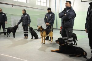 tauserwwwgazzettadastiwp-contentuploadssites2201212764c3fd51a97cff18ed443601e23a2a7.jpg