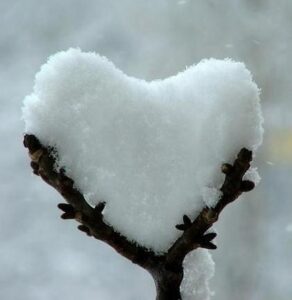 Come comportarsi in caso di neve – gallery