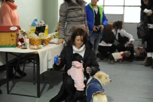 tauserwwwgazzettadastiwp-contentuploadssites22012129f55282ed14c9fbaa75c8a379b720504.jpg