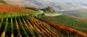 Piazza Piemonte alla Fiera Wine Professional di Amsterdam