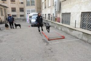 tauserwwwgazzettadastiwp-contentuploadssites2201212c6ad17fcb4d9e3334aff10c5f5ec33ba.jpg