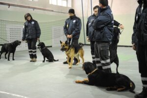 tauserwwwgazzettadastiwp-contentuploadssites2201212d7e6509d0c565482c6d563cc76f3aff0.jpg