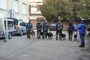 tauserwwwgazzettadastiwp-contentuploadssites2201212fad8f428f2d76a4293443012accbce1a.jpg