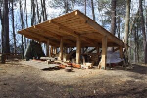 Filiera legno, energia, sviluppo: via libera della giunta regionale al protocollo d’intesa – gallery