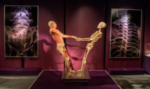 “The Human body” a Torino fino al 7 aprile