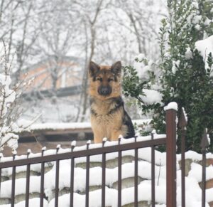 tauserwwwgazzettadastiwp-contentuploadssites220130180cfc62507bc47e2b44c052203793c98.jpg