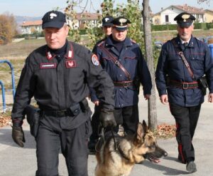 Pusher di studenti arrestato con parecchi grammi di droga