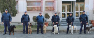 Dai canili al corso per diventare poliziotti a quattro zampe