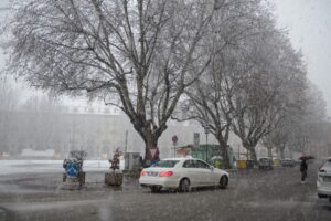 tauserwwwgazzettadastiwp-contentuploadssites2201603dc74ade78164124d66e0fea3eac22ec1.jpg