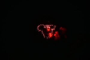 tauserwwwgazzettadastiwp-contentuploadssites22016055834ee708c76e4b73d5cd47751f209b7.jpg