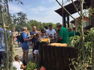 tauserwwwgazzettadastiwp-contentuploadssites2201609aff7ae52ca131472ef20a78238cbab94.jpg