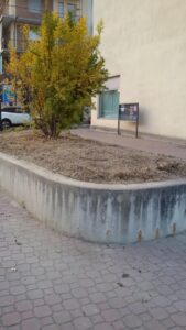tauserwwwgazzettadastiwp-contentuploadssites22017106c088425c497566b85c7accb0b6ec936.jpg