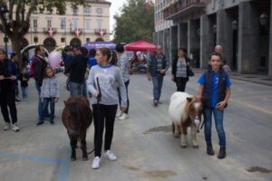 tauserwwwgazzettadastiwp-contentuploadssites2201710a323b2329247940bfb703a8719c31f4c.jpg