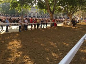 Palio di Asti. Don Bosco vince la terza batteria – gallery