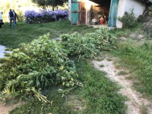 tauserwwwgazzettadastiwp-contentuploadssites22018094bfdecfbef973693a8440bb344aca060.jpg