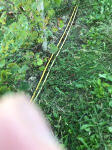 tauserwwwgazzettadastiwp-contentuploadssites2201809def4464c73f69b43be8d87fcbae22931.jpg