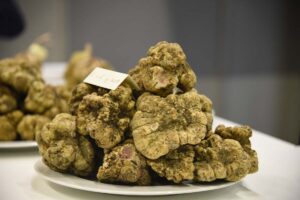 Asti, i Palazzi Storici hanno ospitato i mille sapori del tartufo e del Monferrato – gallery