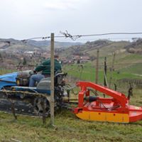 tauserwwwgazzettadastiwp-contentuploadssites22019038e2a3ffc2af12f71485bd3db0bb566b9.jpg
