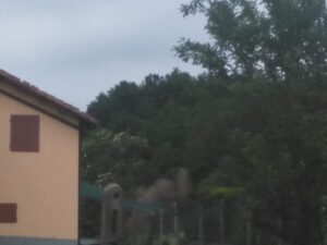 tauserwwwgazzettadastiwp-contentuploadssites22019060a32dbef1c84a15b0bd4c75b3312e88f.jpg
