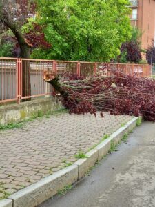tauserwwwgazzettadastiwp-contentuploadssites2202106d4bff0960f4a45ca7aa459772e77cad8.jpg