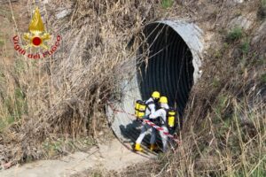 Asti, esercitazione dei vigili del fuoco – gallery