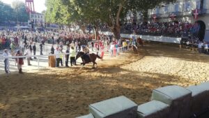 Palio di Asti, i risultati della terza batteria – gallery