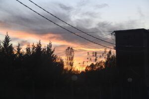 tauserwwwgazzettadastiwp-contentuploadssites2202211a68af8fa4260359b2009912941038956.jpg