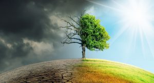 Il cambiamento climatico alla Scuola del Dialogo