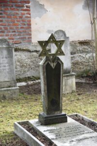 PHOTO-2026-01-27-12-26-30 3