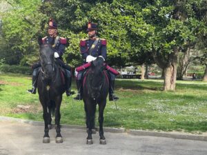 PHOTO-2026-04-10-17-47-11-4