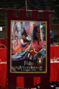 DSC-8484