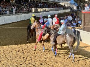 IMG-8968