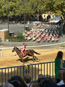 Palio 2026, oggi le prove ufficiali