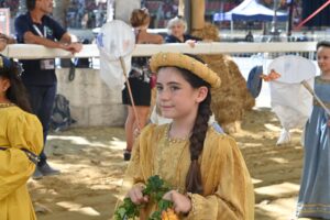castel alfero (46)