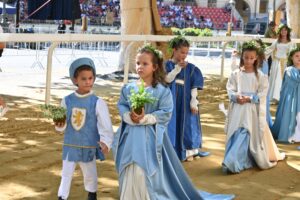 viatosto (51)