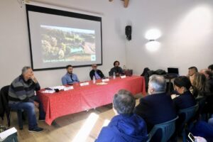 La sagra della nocciola di Castelletto