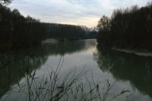 Veduta del fiume Tanaro e della ricca vegetazione spondale.