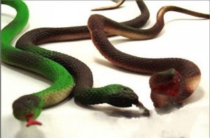 serpente giocattolo